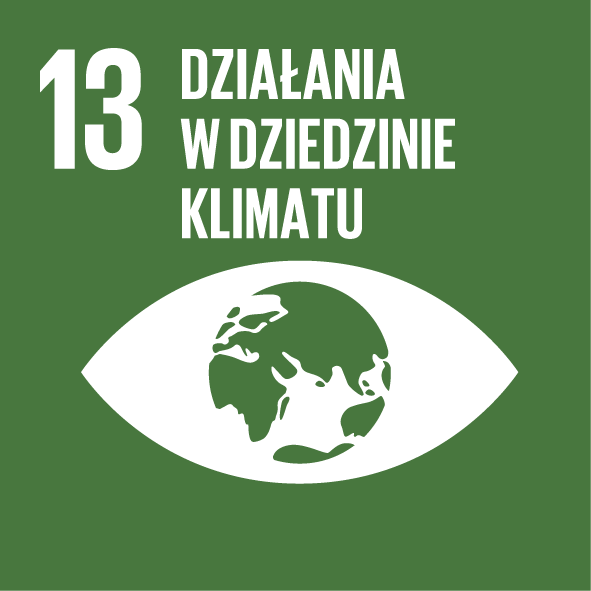 SDG 13